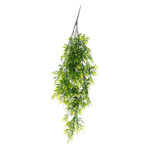 Piante appendere piantine - da,