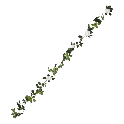 Piante rose sospese - di,
