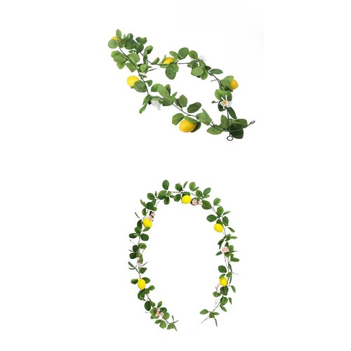 Pianta decorativa per vite - decorativa, di