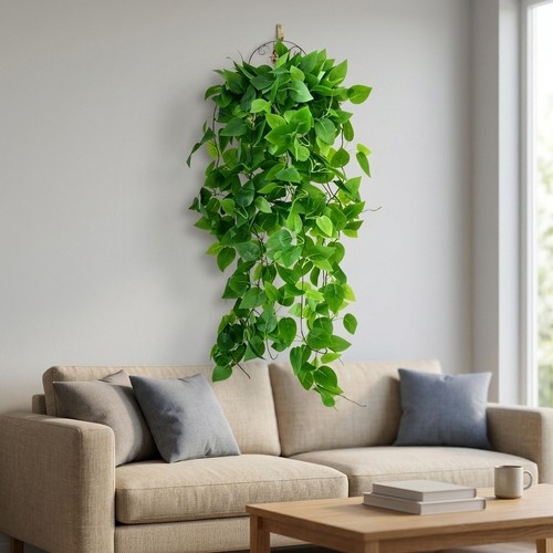 Pianta pothos finto lunga - di,