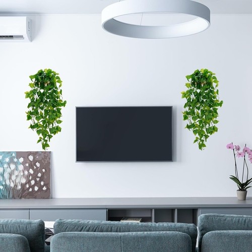 Pianta finta pothos - pianta, vite